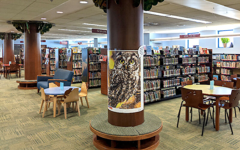 Tree-like columns, decorative wooden chairs, and shelves with animal-inspired endcap artwork withmany books on shelves.