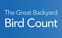 The Great Backyard Bird Count